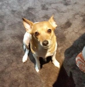 Meet your Posher, Roseann